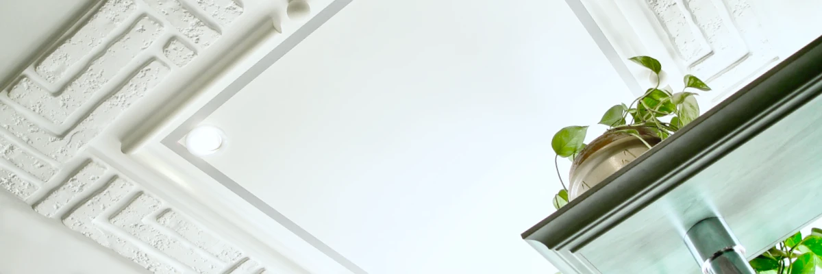 Natur pur - direkt aus der Region - Stuck aus Gips